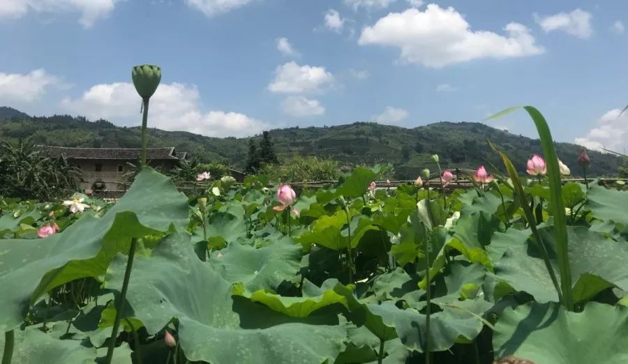 1561371508494291.jpg 1561371508494291.jpg